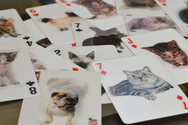 cat 3d cards