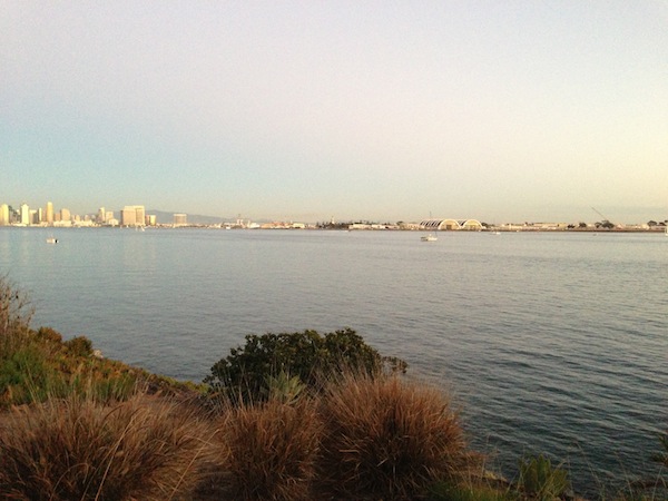 View