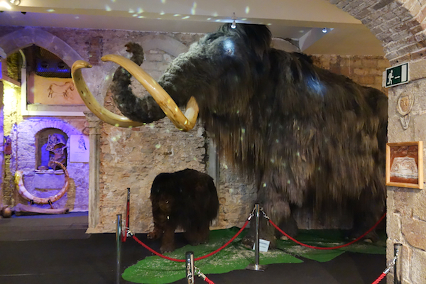 Mammoth Museum